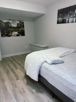 a bedroom with a bed and a painting on the wall at 1 Bedroom Apartment with Living Room and Full Washroom to yourself alone and a private car park in London