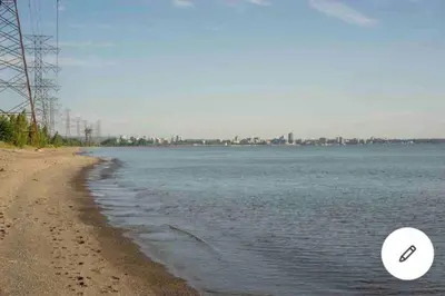 a frisbee on the beach next to the water at Beautiful Renovated Beach Cottage Home in Hamilton