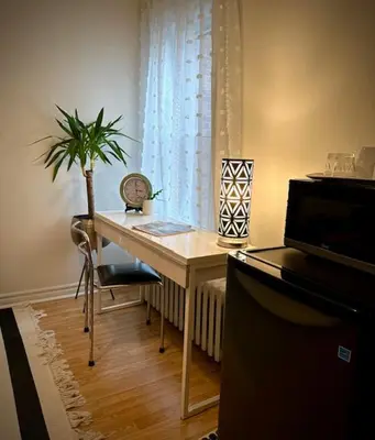 a desk with a potted plant sitting next to a window at Girls Night Out in Toronto