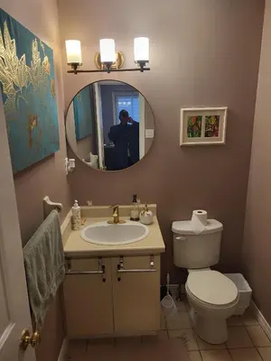 a bathroom with a toilet and a sink and a mirror at 308 Delancey in Hamilton