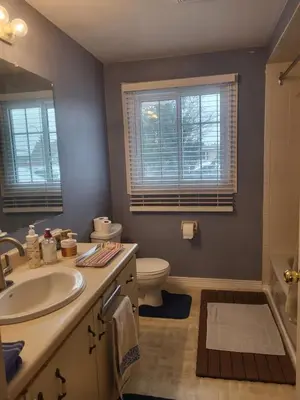 a bathroom with a sink and a toilet at 308 Delancey in Hamilton