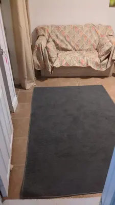 a black rug on the floor next to a couch at Two Separate Units in Richmond Hill