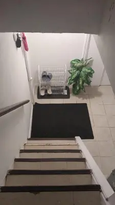 a staircase with a black rug and a plant at Two Separate Units in Richmond Hill