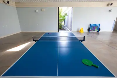 a blue ping pong table in a room at The Balsam - 36 Farm View in Cherry Valley