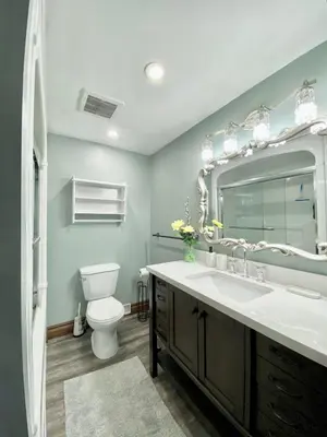 a bathroom with a toilet and a sink and a mirror at Cozy Suite-Walk to the Falls in Niagara Falls