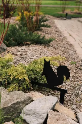 a black cat sitting on a bench in a garden at SquirrelHaus PEC in Hillier