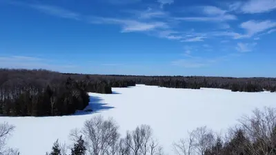 a large snow covered field with trees in the background at Wiley Woods Cottage in Minden