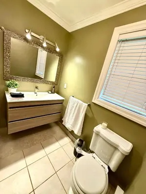a bathroom with a toilet and a sink and a mirror at Mono Farmhouse in Caledon