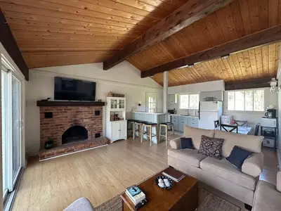a living room with a couch and a fireplace at Cozy lakeside Cottage on 3 Mile Lake with Wifi in Windermere
