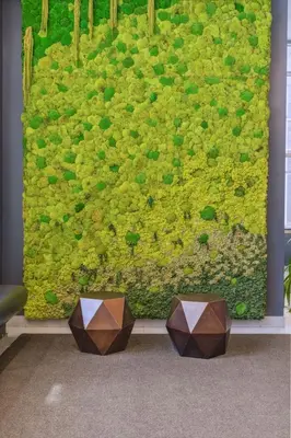 a green wall with two stands in front of it at Prime Downtown Condo - St Lawrence Parking in Toronto