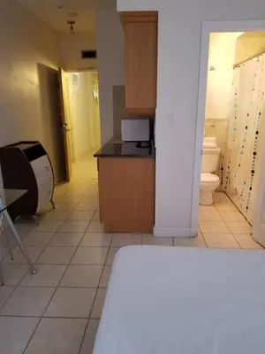 a kitchen with a sink and a toilet in a room at Dragon Gate Inn in Toronto