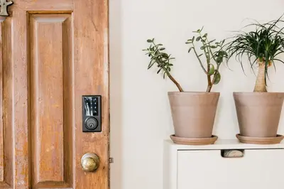 two plants on a shelf next to a door at The Parkdale Cottage in Toronto