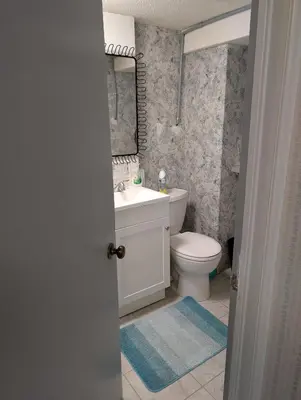 a bathroom with a toilet and a sink and a mirror at Cozy Bachelor Unit in Guelph