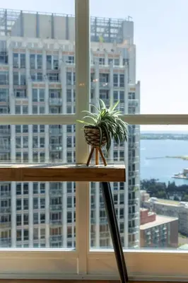 a potted plant sitting on a table in front of a window at Ent District 3 Bedroom 2Bath Parking CN Tower in Toronto