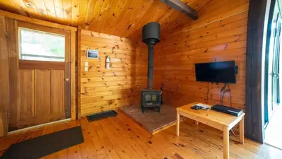 a room with a fireplace and a television in a log cabin at Lake Muskoka 3-bedroom Cottage - Pier 100 #30 in Port Carling