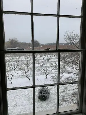 a window with a view of a snow covered field at The House of Elsie Bed and Breakfast in Niagara on the Lake