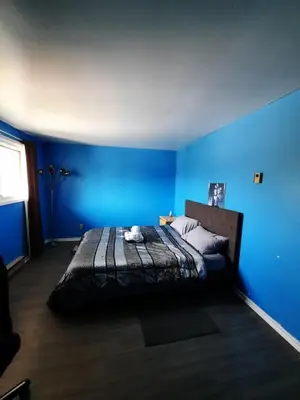 a blue bedroom with a bed with a black blanket at Urban & Cozy in Guelph