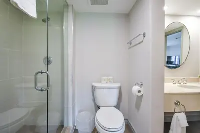 a bathroom with a toilet and a sink and a shower at 2BR King Suite Pool Sauna Heated Pool in Shanty Bay