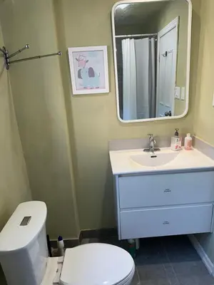 a bathroom with a toilet and a sink and a mirror at Tom home in Toronto