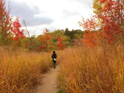 a man walking down a dirt road through a field at Bright & New 2 Beds Near Subway in Toronto
