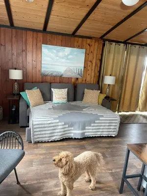 a dog standing in front of a bed in a room at Lakefront Lake Erie with Amazing Views 3BR Pet Friendly 1 HR from Hamilton and Niagara