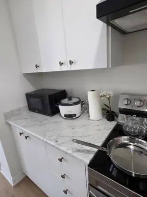 a kitchen with a counter top with a microwave at Modern Stylish Cozy Home Balcony Wifi in Caledonia