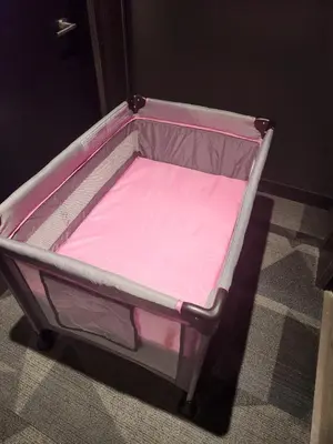 a pink bed sitting on the floor in a room at Hydropool Spa Hot Tub Bowling Alley Patio BBQ Games in Kitchener