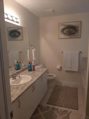 a bathroom with a sink and a toilet and a mirror at Modern 5-bedroom house close to Ardagh Bluffs in Barrie