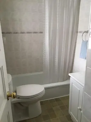 a white bathroom with a toilet and a shower at Merlot Room in Old Town in Niagara on the Lake