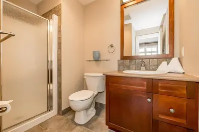a bathroom with a toilet and a sink and a mirror at Raccoon Ridge - Village Walk - Hot Tub - Shuttle in Blue Mountains