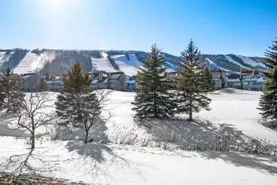 a group of trees in a snow covered field at Sierra Summit - Walk to the Village family fun in Blue Mountains