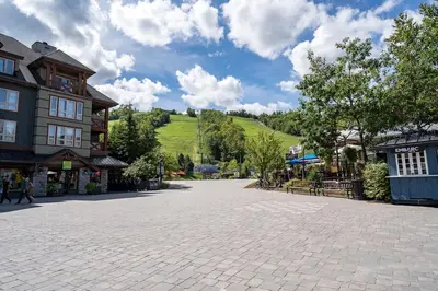 Gallery image of The Woodlands Haus - Shuttle to the Village in Blue Mountains