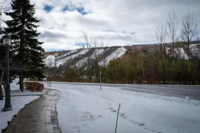 a snow covered street with a tree and a road at The Mountain House - Walk to the Village in Blue Mountains