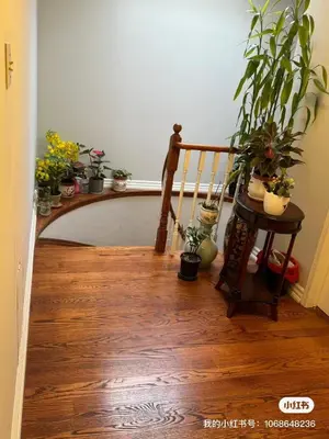 a hallway with potted plants and a wooden floor at 203 Comfortable private bedroom on second floor in Mississauga