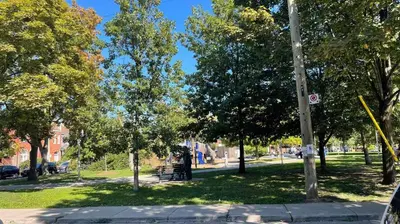 a park with trees and a bench in the grass at warm heart toronto in Toronto