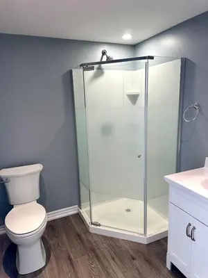 a bathroom with a glass shower with a toilet at Beautiful walkout basement in Georgetown