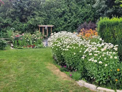 a garden with a bunch of flowers and a gazebo at Charlotte Garden Bed and Breakfast in Niagara on the Lake