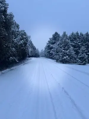 a snow covered road with trees on the side at Luxury Forest Retreat Near Mansfield Ski Club in Mulmur