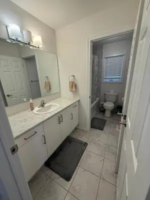 a bathroom with a sink and a mirror and a toilet at Short Term Cozy Stay in Beautiful Fergus in Fergus