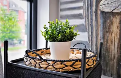 a plant in a basket on a window sill at 2Bdrm Penthouse Close To Falls With Parking in Niagara Falls