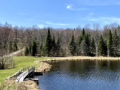 a bridge over a lake with trees in the background at Cajun Cabin Private Nature Resort in Minden