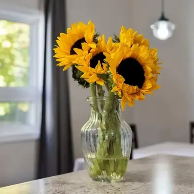 Cozy Couple Retreat | 2 BDR APT | BBQ