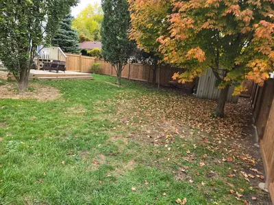 a yard with autumn leaves on the grass at Cozy East Hill 2026 in Belleville