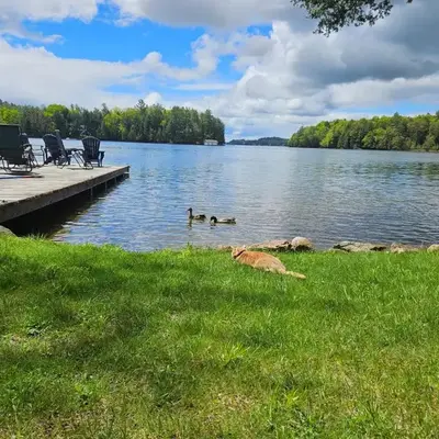 Olga's Bay Lakehouse