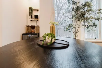 a plant sitting on top of a wooden table at Luxury Elegant Full house Escape Premium Comfort in Mississauga