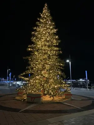 a christmas tree is lit up at night at Lovely Open Concept Friday Harbor Resort Condo in Innisfil