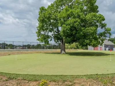 a tree in the middle of a green field at The Magnolia - 37 Butternut in Cherry Valley