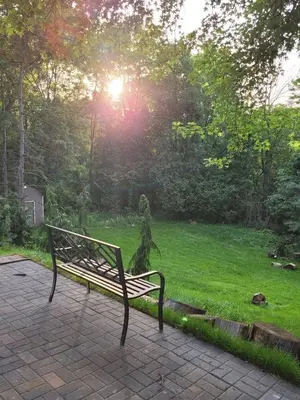 a park bench sitting on a brick walk way at Forest View Secluded Serene in Hamilton