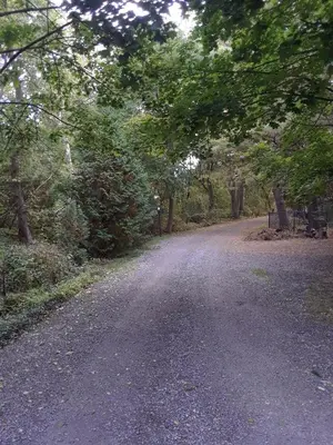 a dirt road with trees on either side of it at Forest View Secluded Serene in Hamilton