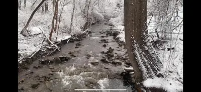 a snow covered path in a wooded area with a creek at Licensed-8 Acre Estate, Trail & Stream with 3 Beds in Hamilton